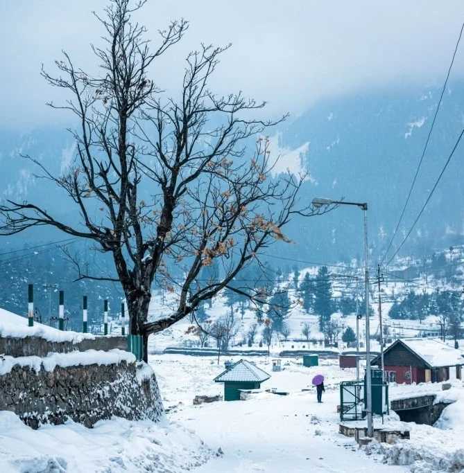 Women Only Kashmir Package