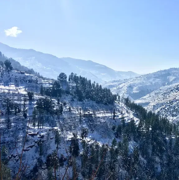 Shimla