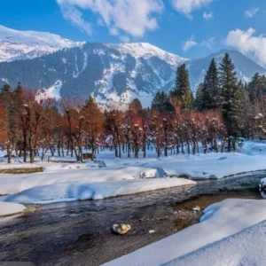 Heavenly Kashmir Economy?