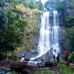 When is the Best Time to Visit India?