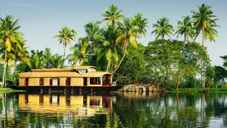 Kerala backwaters scenery on a seven day Kerala trip