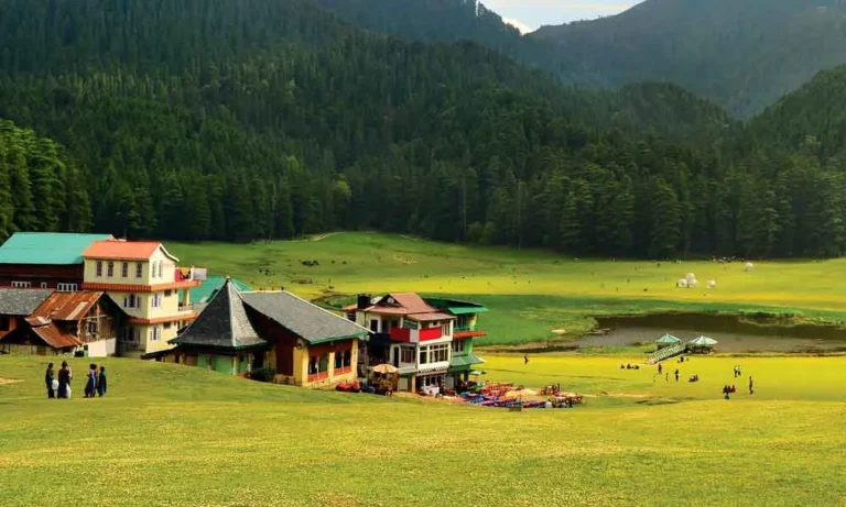 Green meadow and pine forest at Khajjiar in Himachal Pradesh