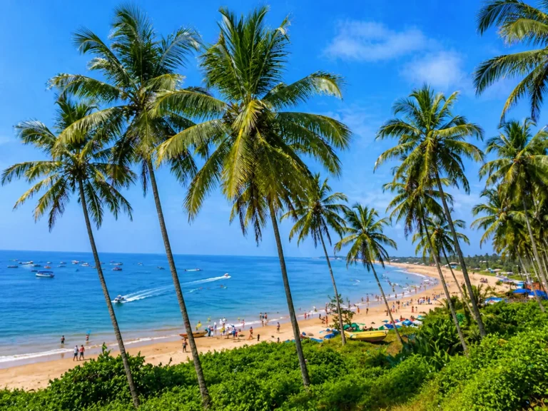 Unforgettable Goa — Goa
