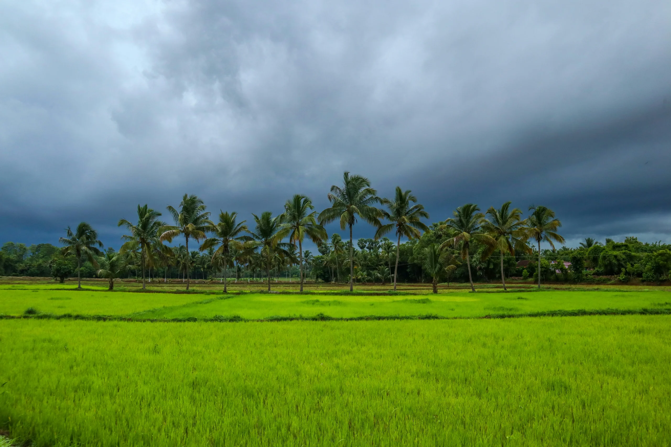 Kerala Highlights