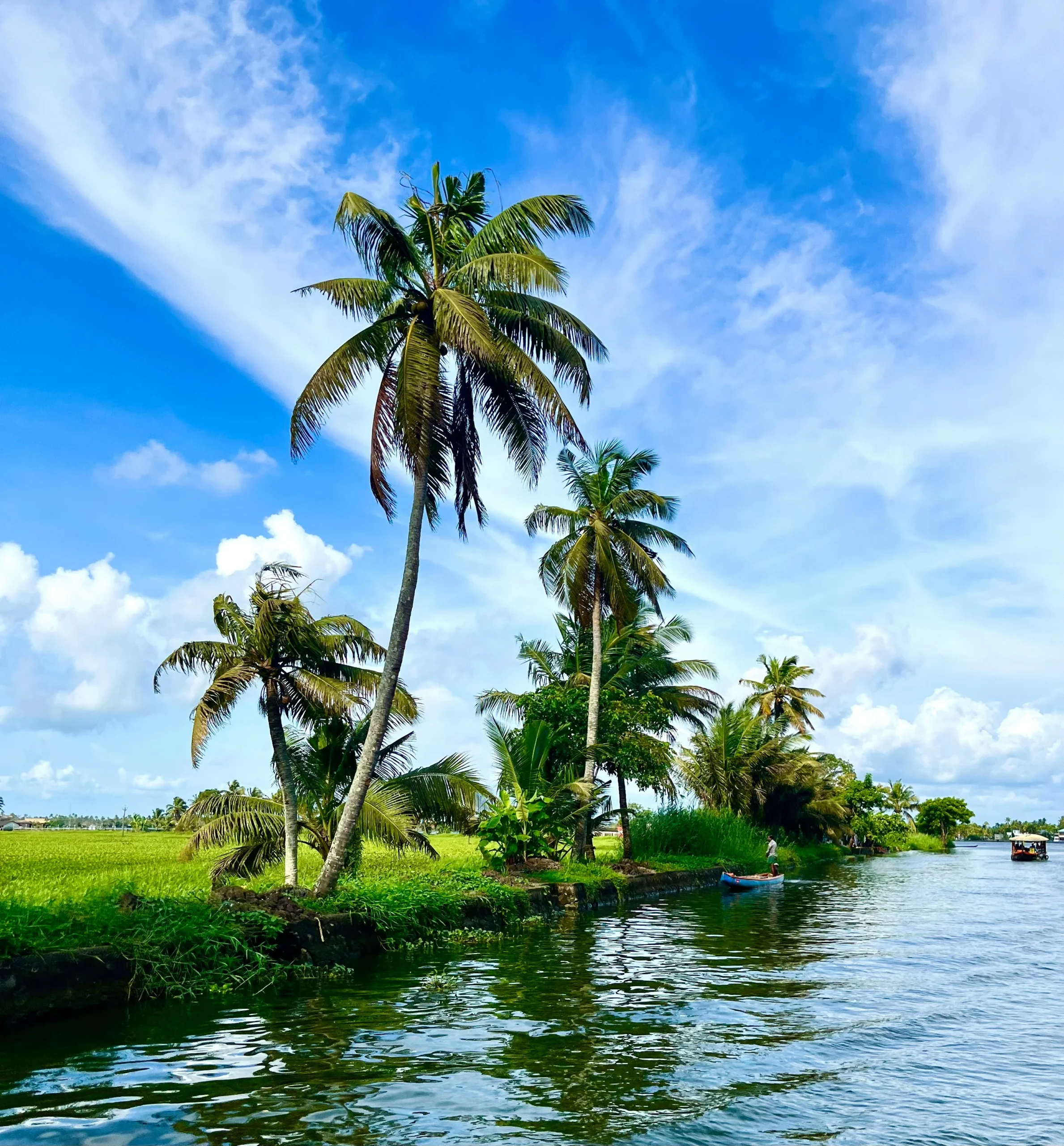 Kerala Royal Tour