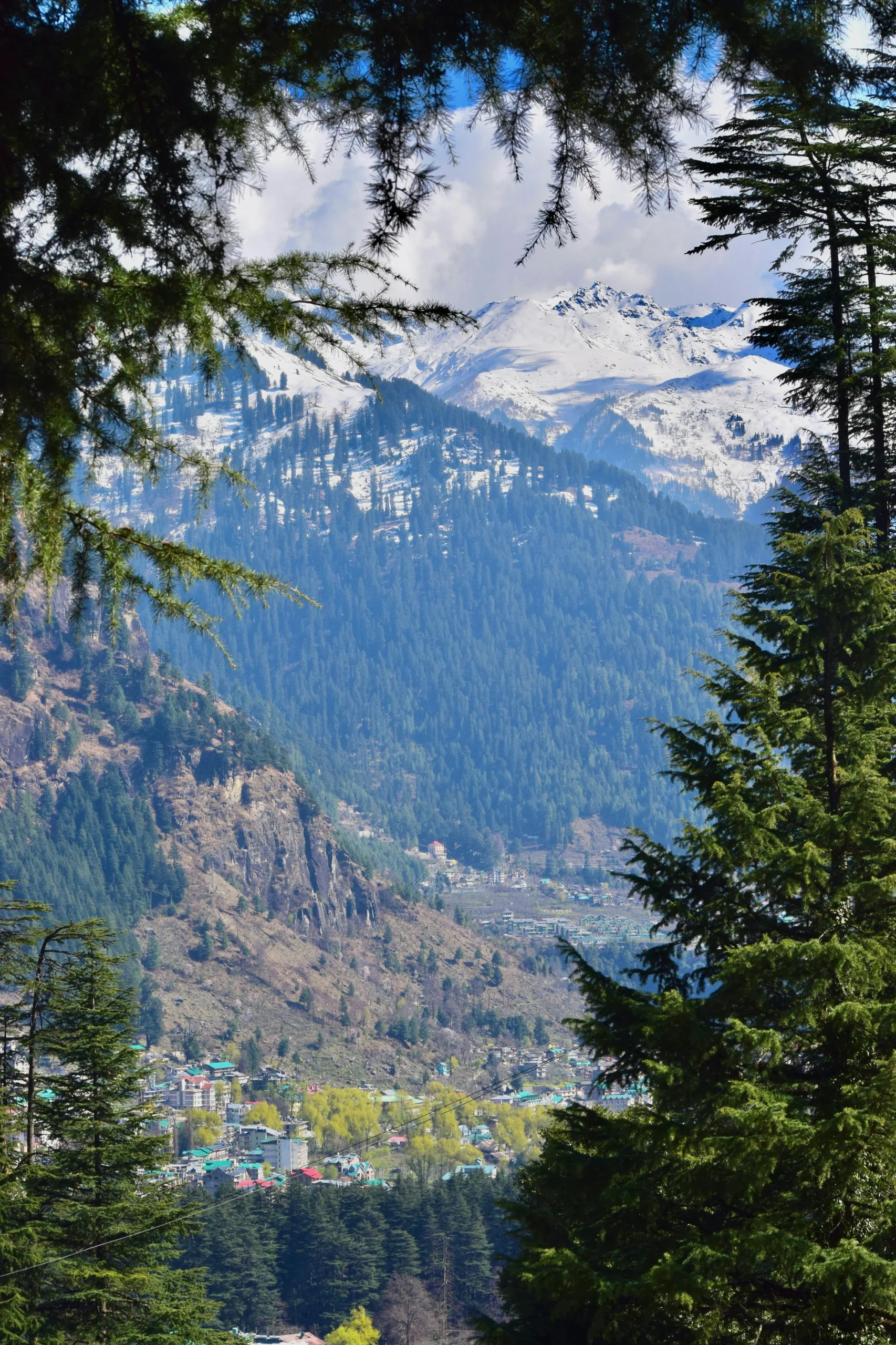 Shimla Manali Honeymoon package by Suzu Travels