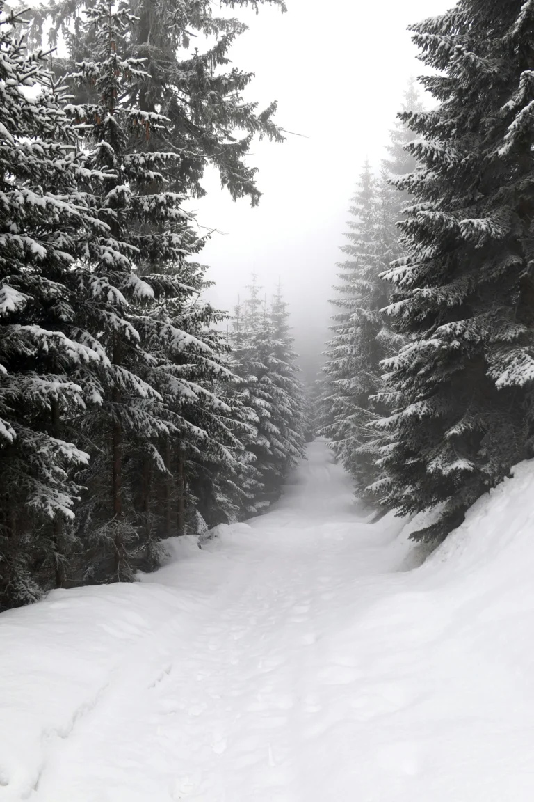 Snow-covered mountain road in Himachal Pradesh after the season's first snowfall in Lahaul-Spiti and Kinnaur