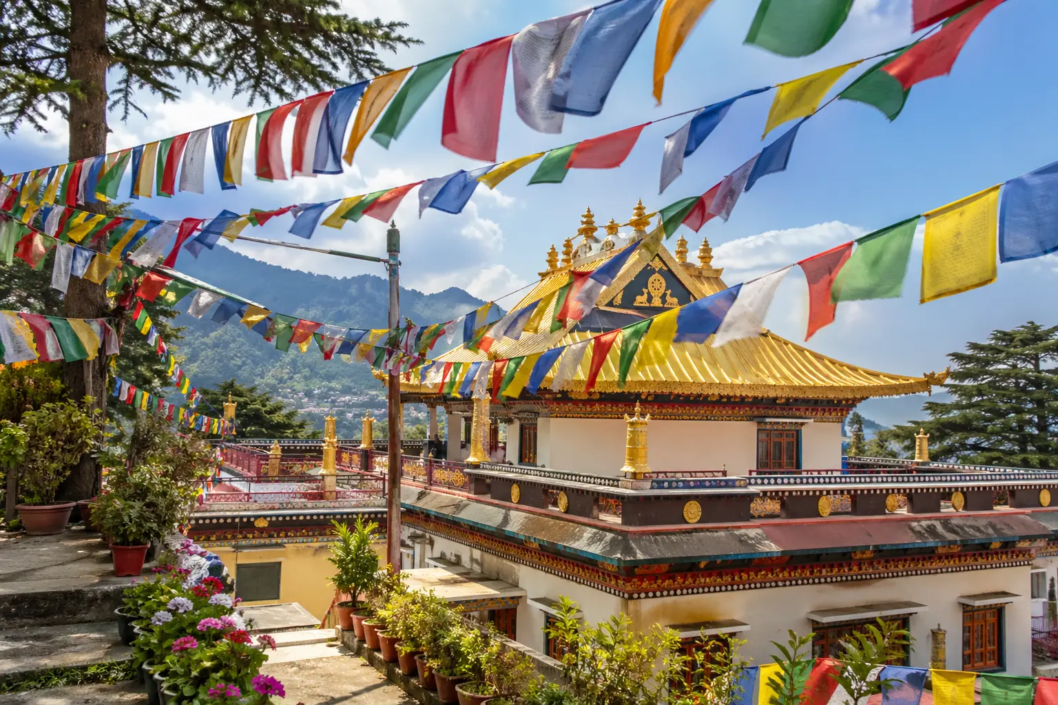 dalai-lama-temple-mcleod-ganj-dharamshala-tour
