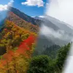What is the Best Month to Visit Himachal? A Complete Seasonal Guide