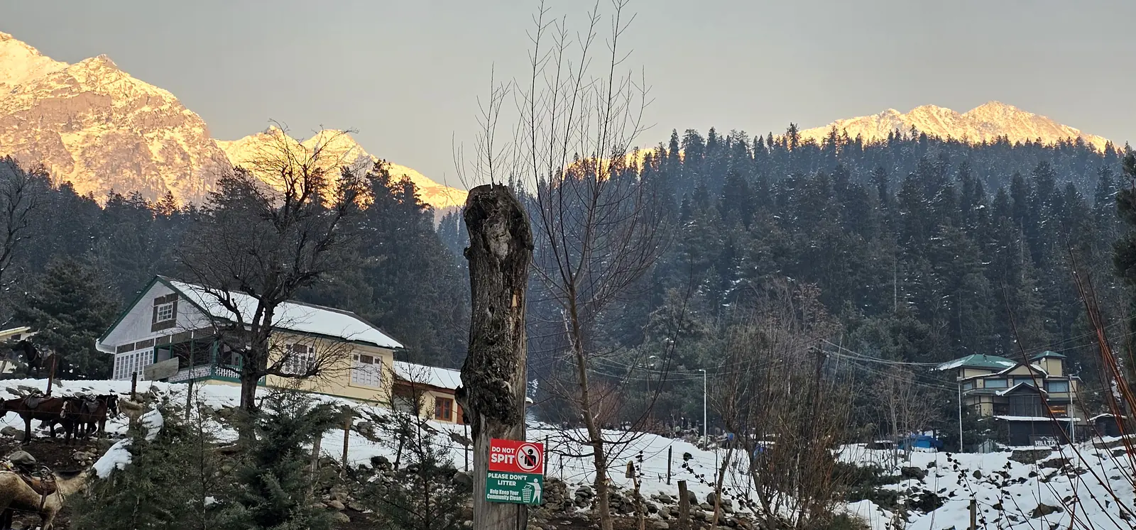 Golden sunrise over snow-covered peaks in Pahalgam, Kashmir
