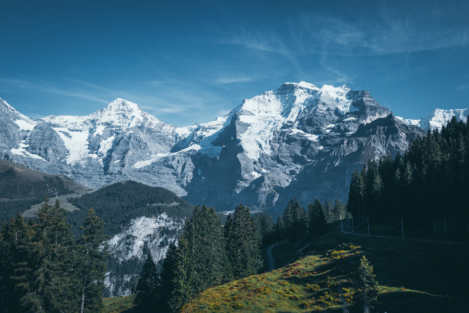suzu abroad europe jungfrau region alps Snow-capped peaks of the Jungfrau region above pine forest, Swiss Alps, Switzerland