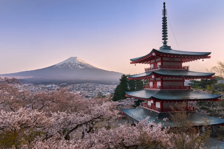 suzu abroad japan Chureito Pagoda with Mount Fuji and cherry blossom, Japan