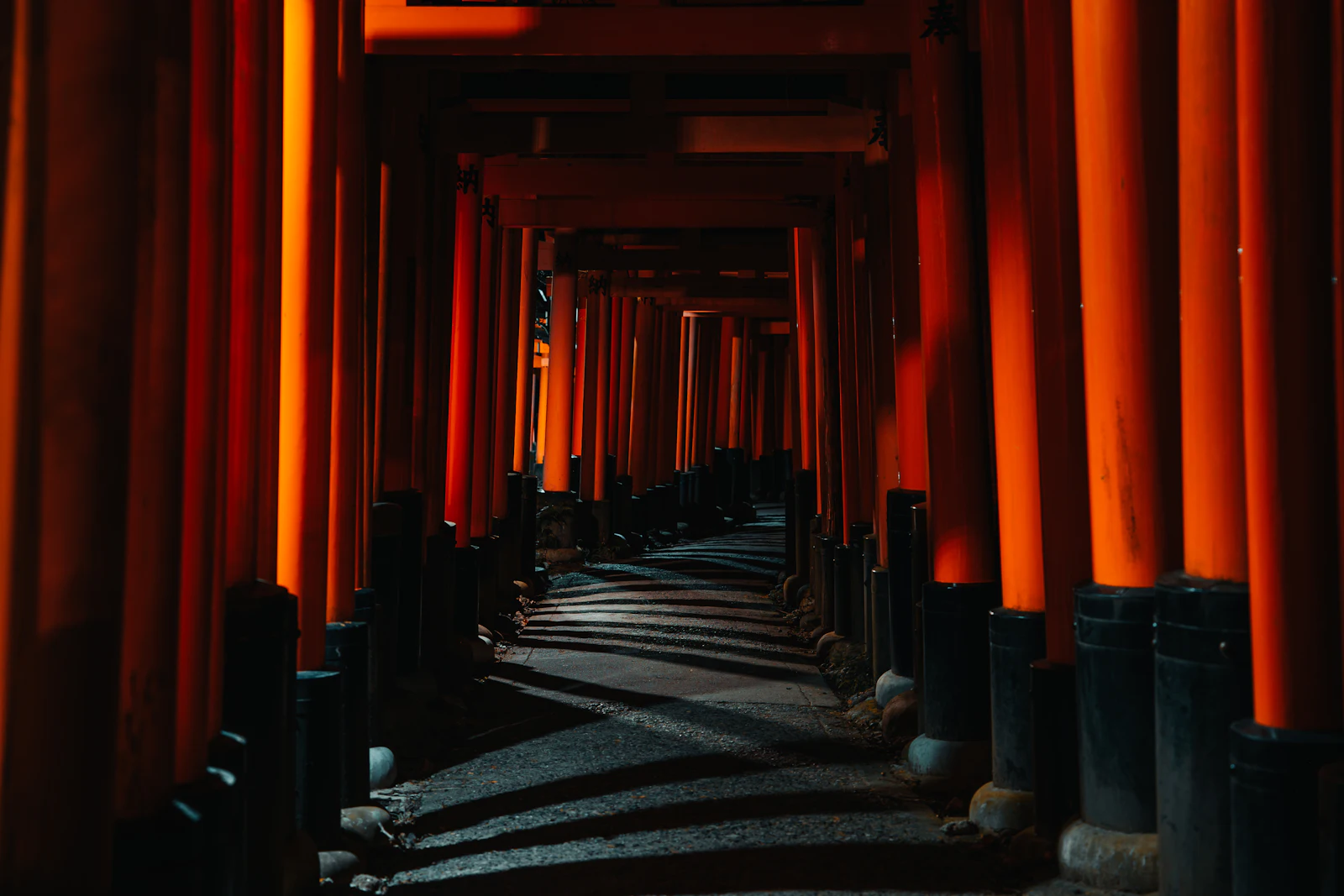 suzu abroad japan fushimi inari torii Tunnel of orange torii gates at Fushimi Inari Taisha shrine, Kyoto, Japan