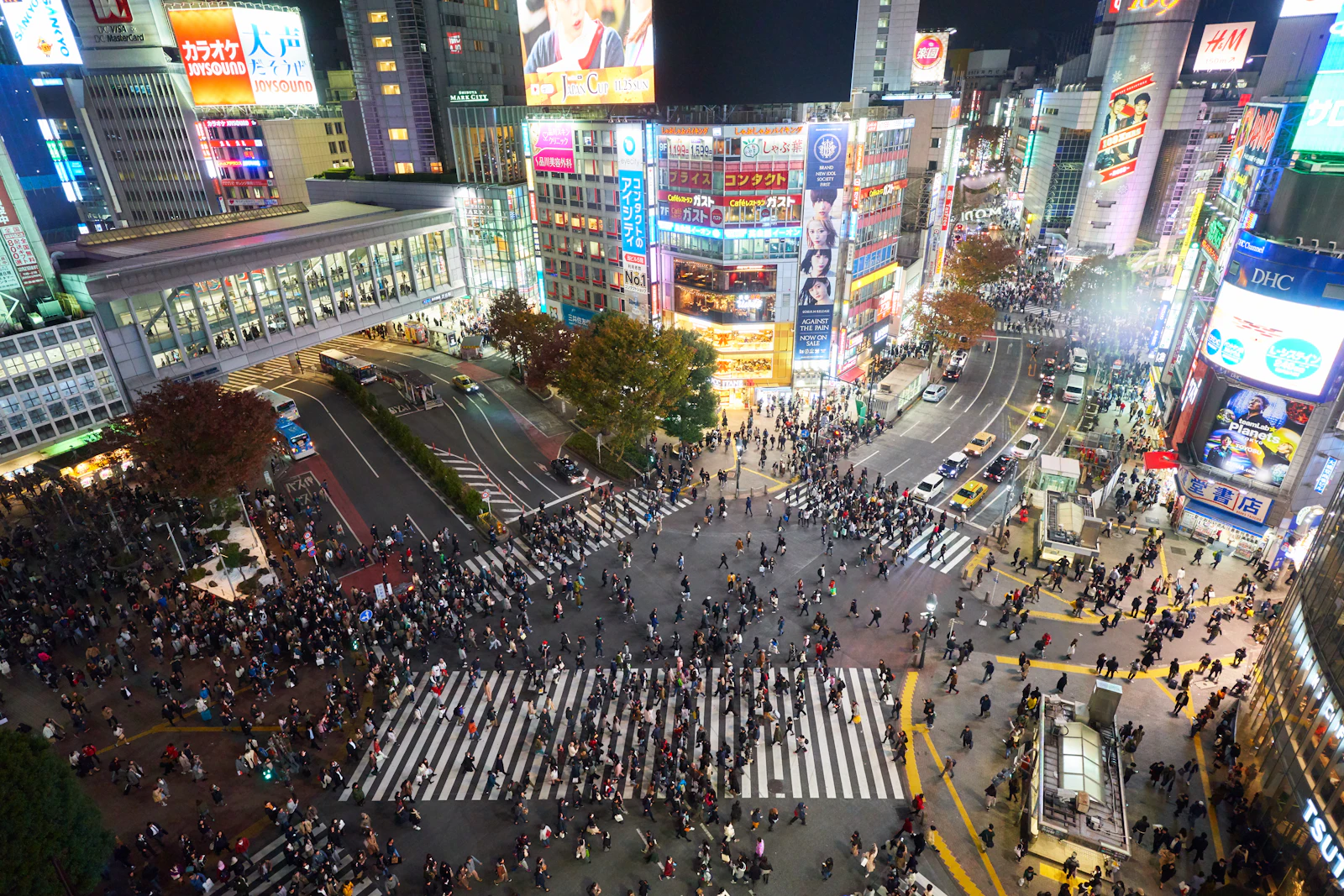 suzu abroad japan shibuya crossing Crowds on the Shibuya scramble crossing at night, Tokyo, Japan
