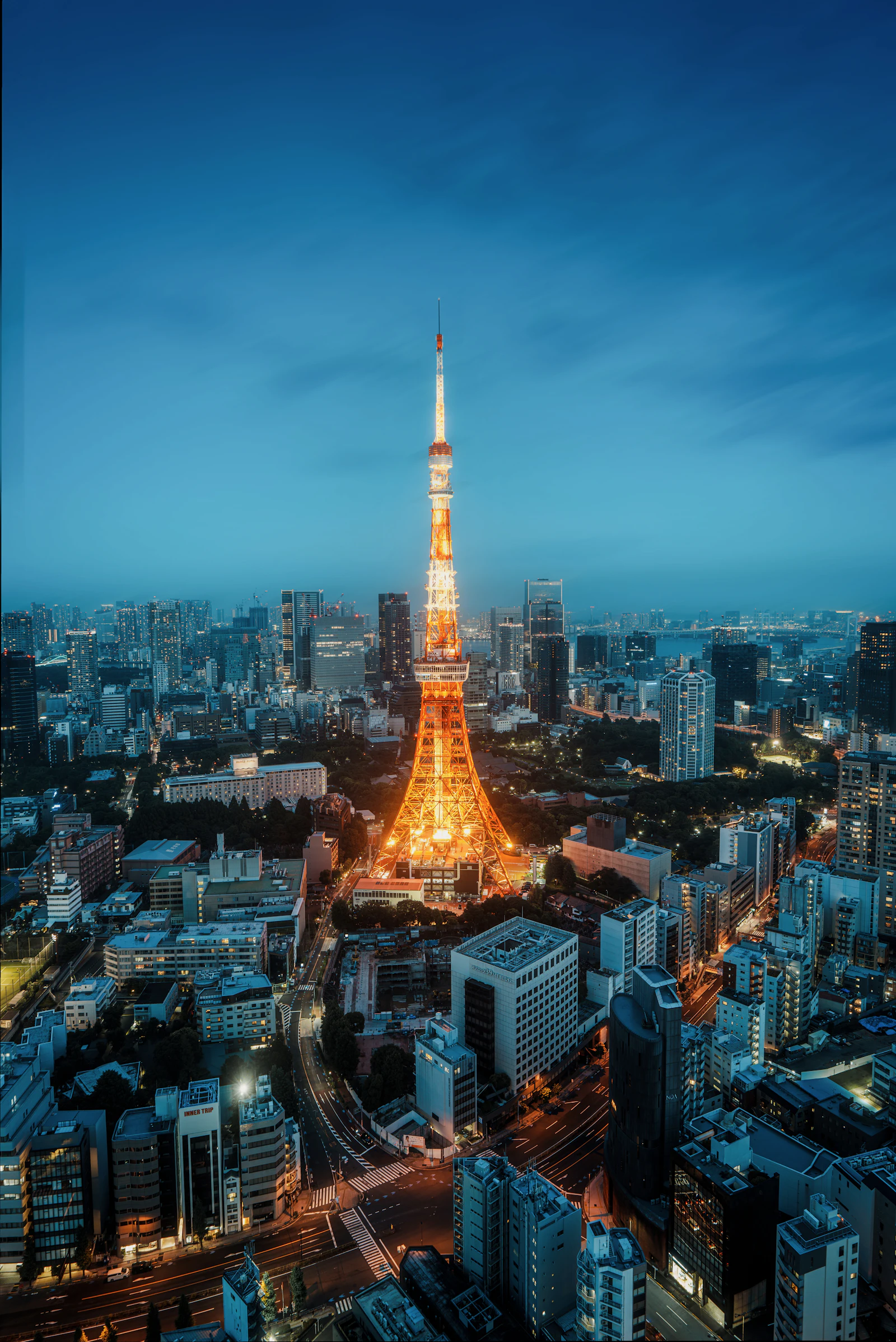 suzu abroad japan tokyo tower night Tokyo Tower lit up at dusk above the city, Tokyo, Japan