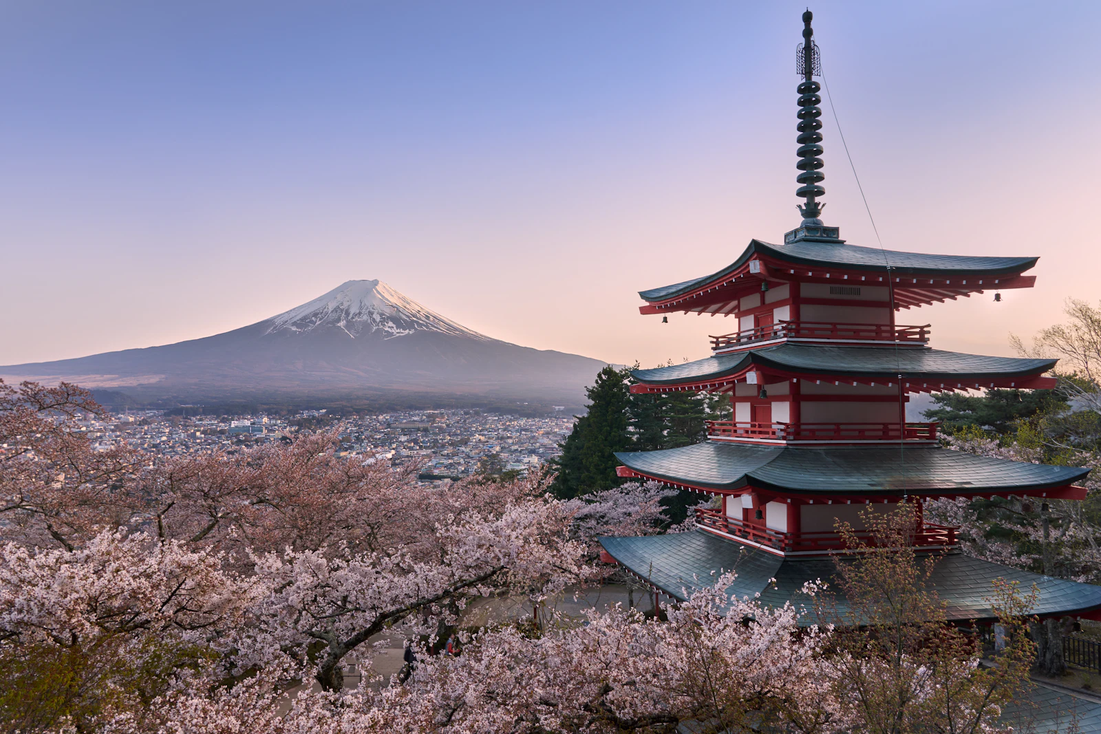 Chureito Pagoda with Mount Fuji and cherry blossom, Japan
