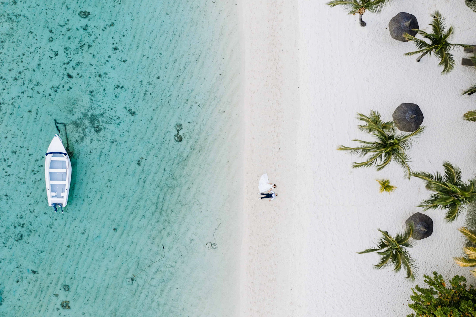 suzu abroad mauritius palm beach aerial Aerial view of palm trees, beach umbrellas and a boat on clear shallow water, Mauritius