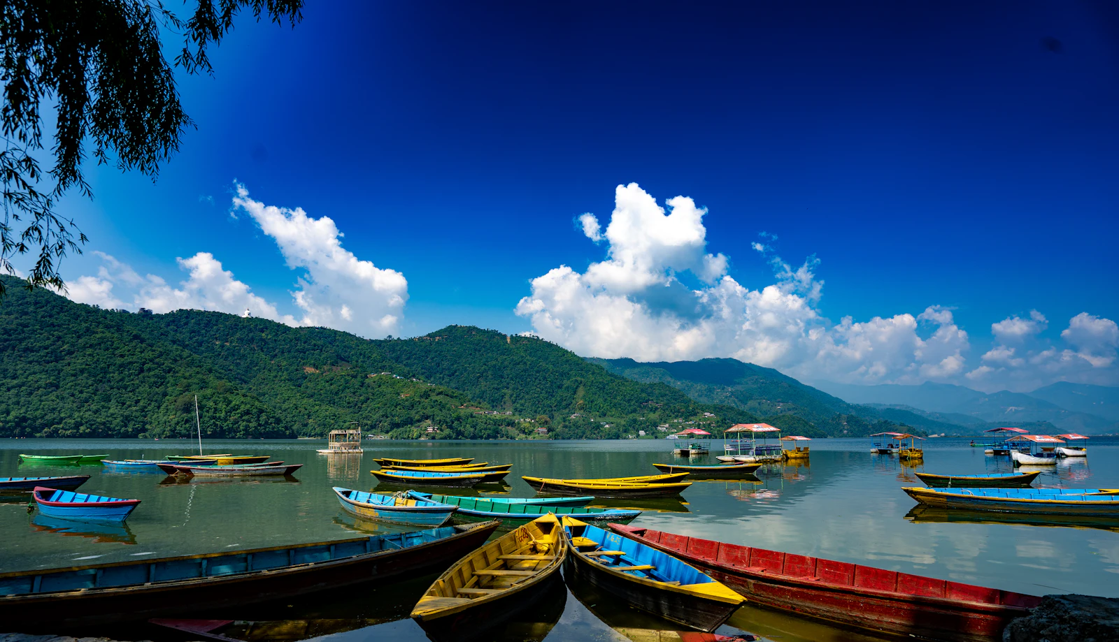 suzu abroad nepal 1 Colourful rowing boats on Phewa Lake, Pokhara, Nepal