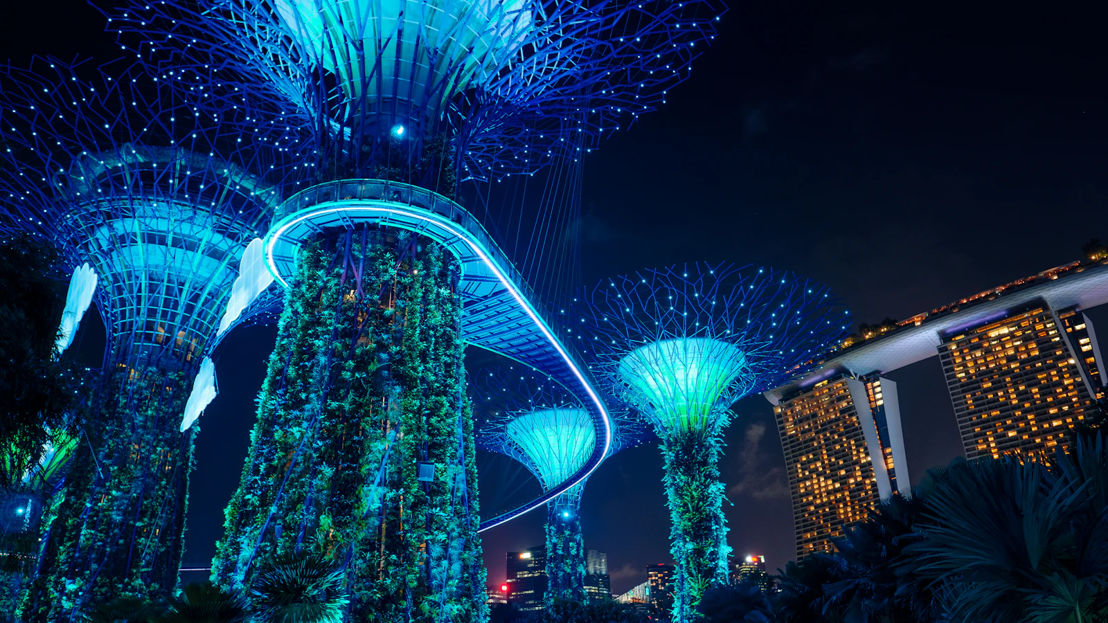 suzu abroad singapore 2 Supertree Grove at Gardens by the Bay lit up at night, Singapore