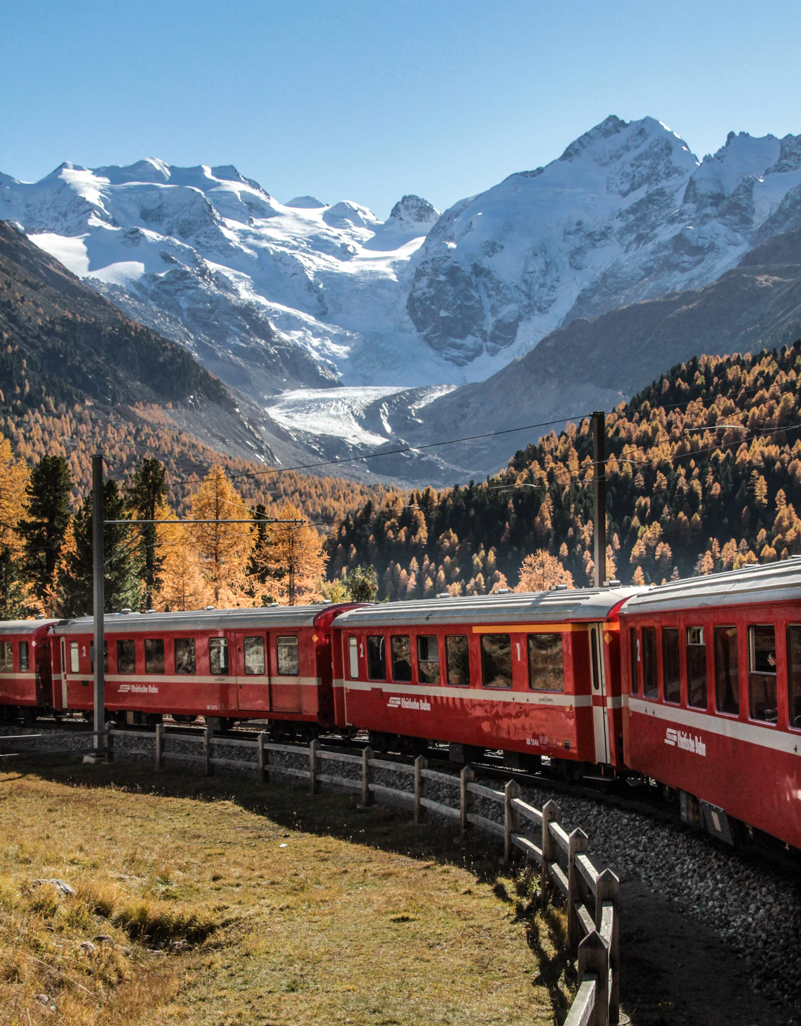 suzu abroad switzerland bernina line morteratsch Red train on the Bernina line near Morteratsch, with the glacier and snowy peaks behind and autumn larches, Graubünden, Switzerland