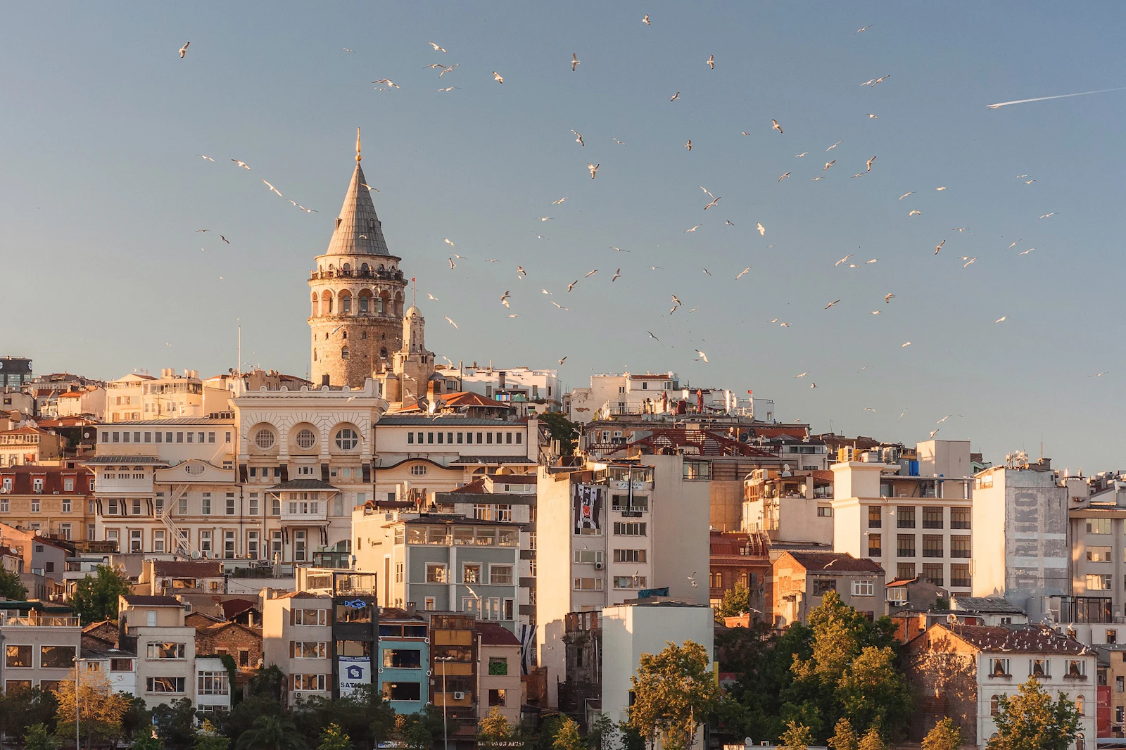 suzu abroad turkey galata tower istanbul The Galata Tower rising above the rooftops of Istanbul with seagulls overhead